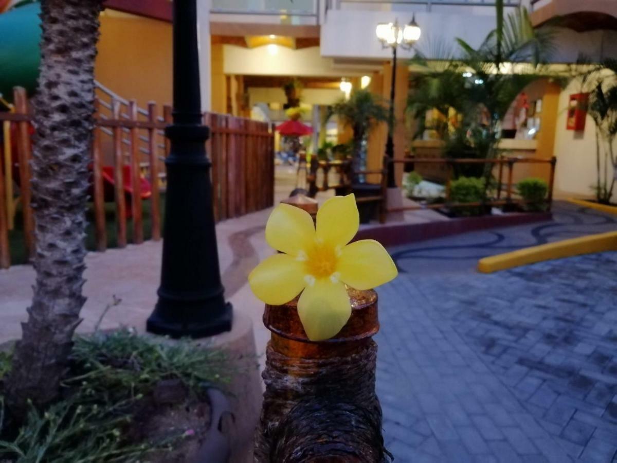 Marysol Las Palmas Rincón de Guayabitos Eksteriør bilde